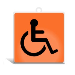 PITTOGRAMMA SECURDROP MM.100X100 DISABILI