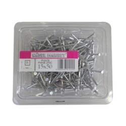 CHIODI TP 20X100 GR.500